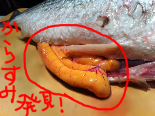 からすみで有名なあのお魚！ 磯ぎよし