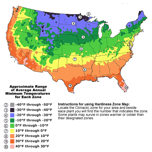 The Gardener's Guide Ison's Nursery & Vineyard