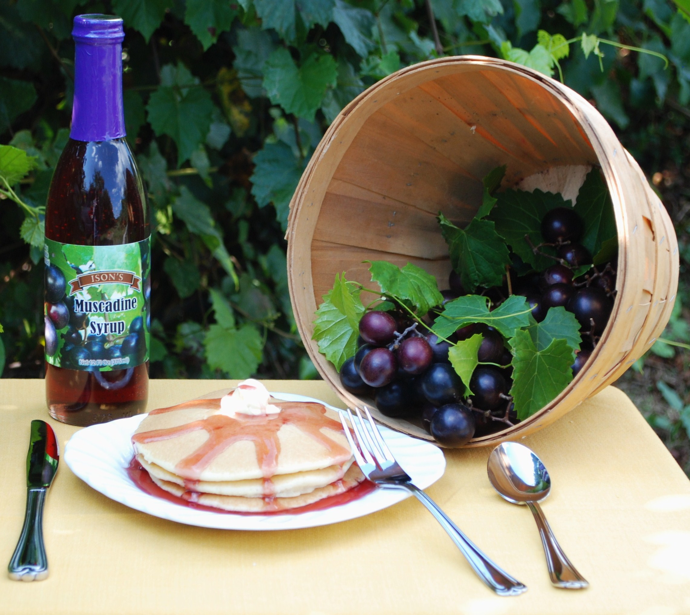 Muscadine Red Juice Ison's Nursery & Vineyard