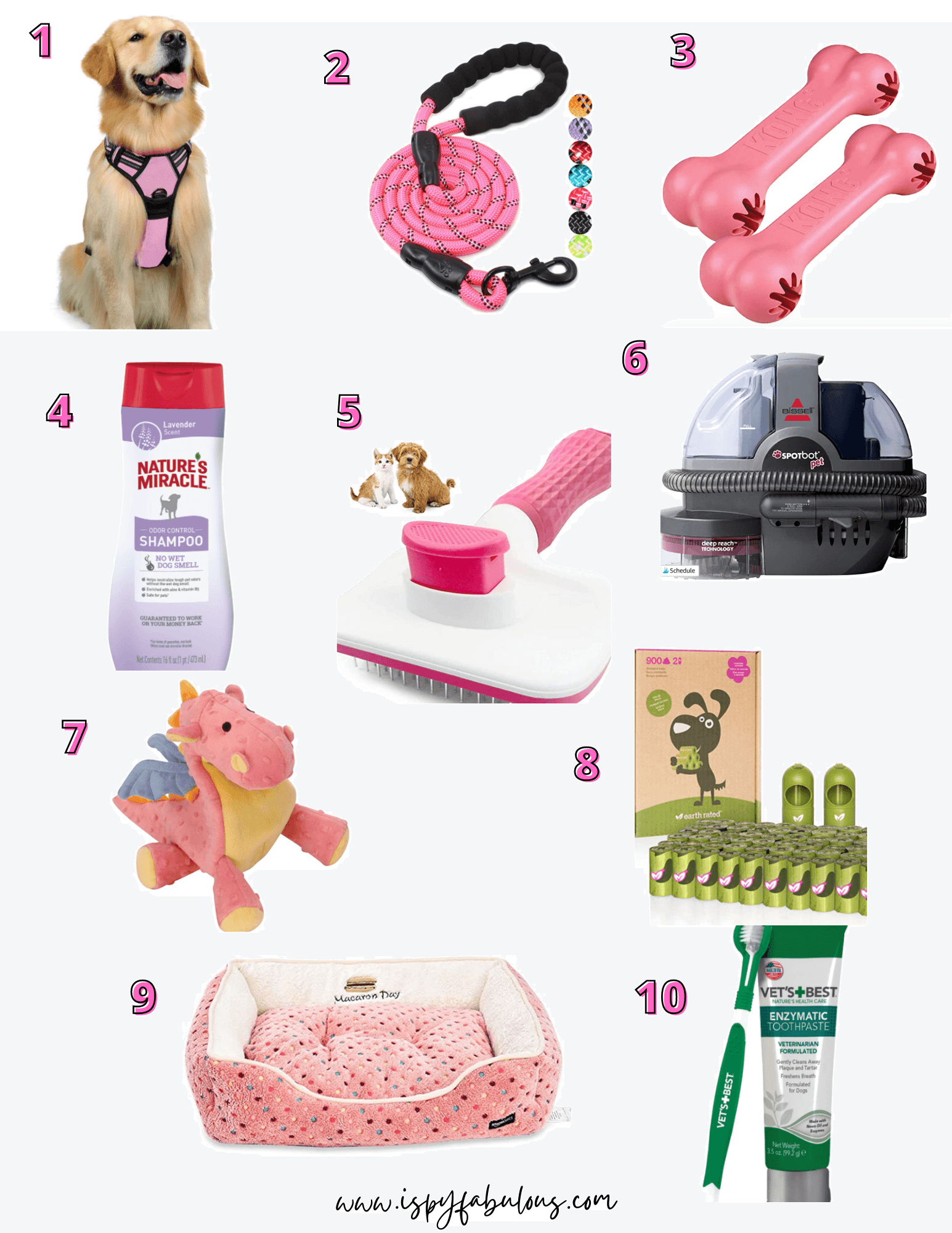 10 MustHave Dog Supplies for your Furry Best Friend! I Spy Fabulous