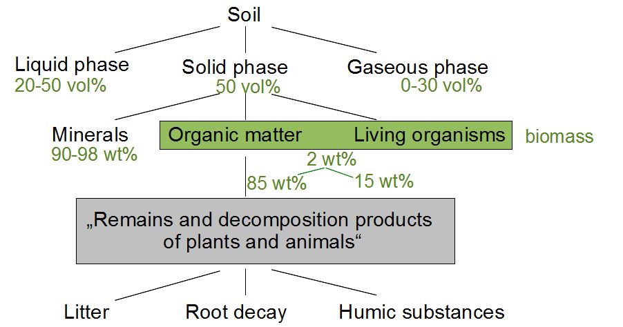 Soils and Biodiversity ISRIC