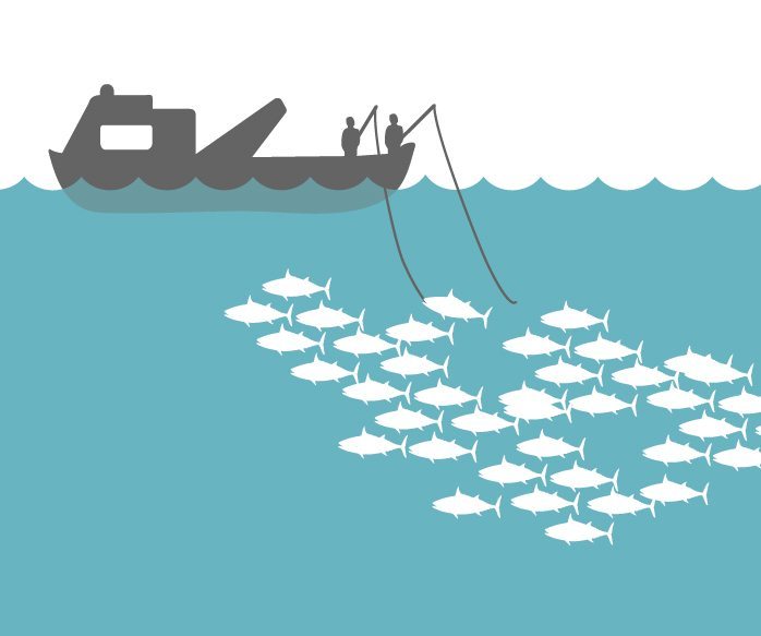 Pole and Line International Seafood Sustainability Foundation