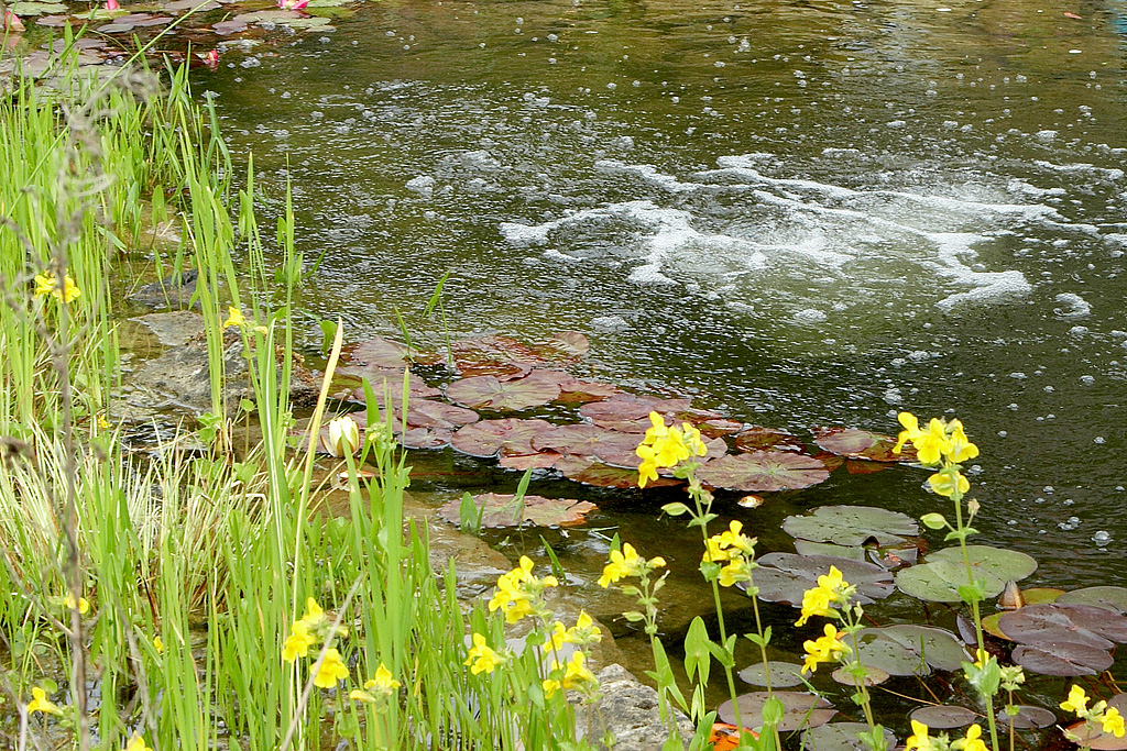 Submerged Aeration vs Floating Aeration ISS Flowthrough