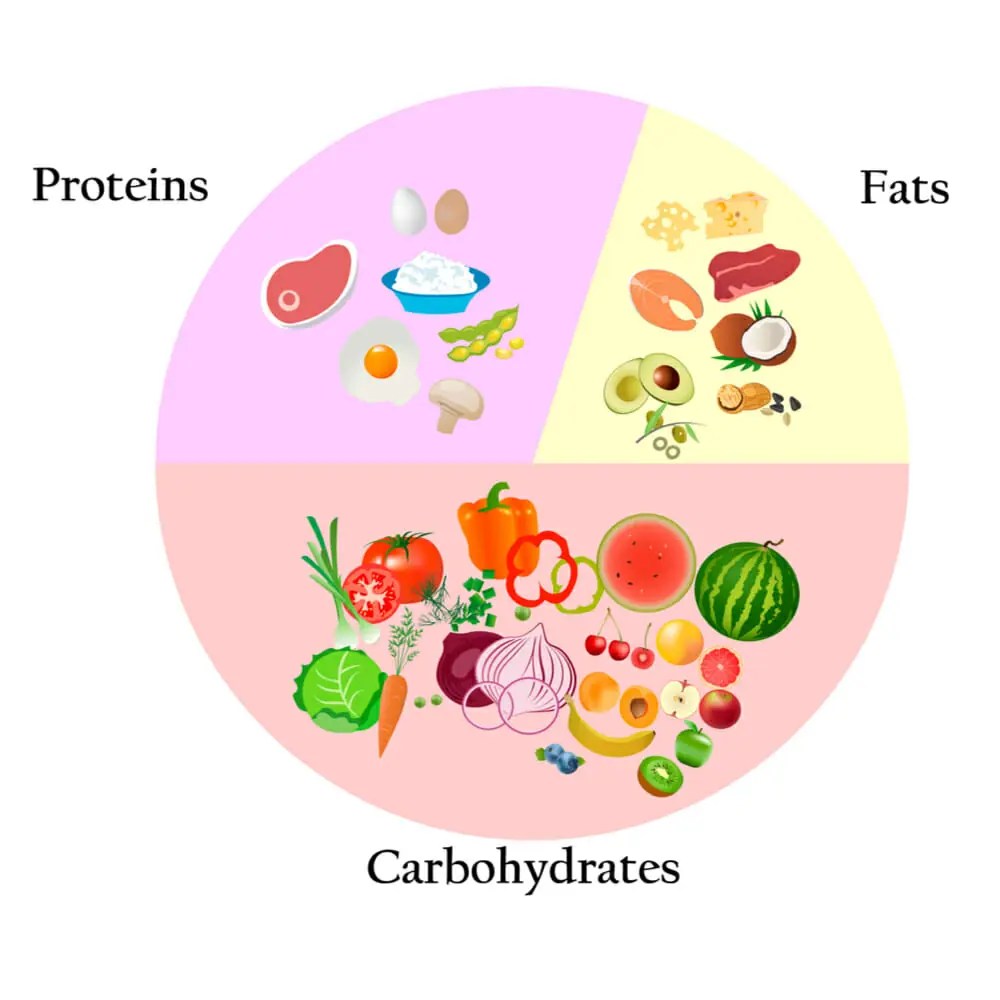 Soccer Player Diet Football & Sports Nutrition Footballer Diet