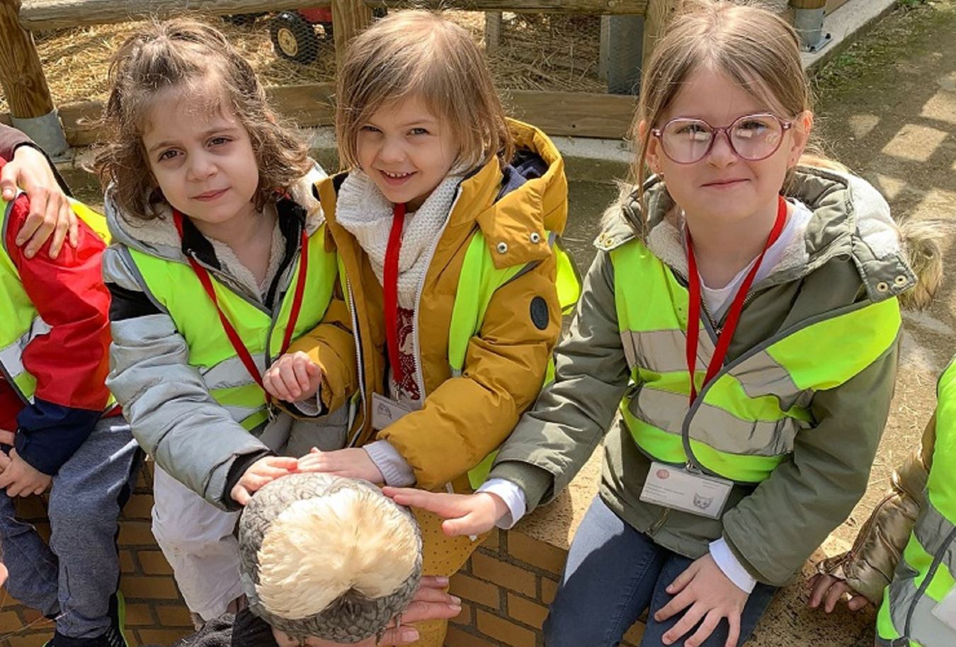 Les accueils de loisirs découvrent la nature avec les Bergeries d’Issy