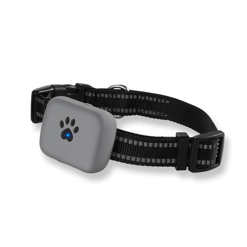 worlds smallest gps tracking device