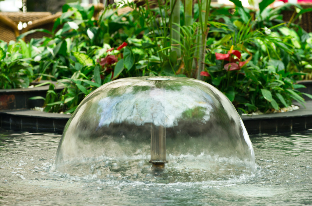 6 Types of Water Features That Are Perfect for Any Garden iStoryTime