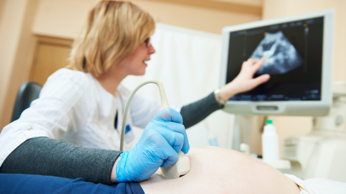 What to Expect from Ultrasound Technician Programs iStoryTime