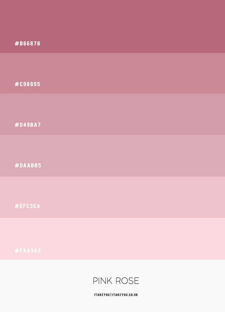 Pink Rose Colour Scheme Shades of pink colour palette Pink Combos