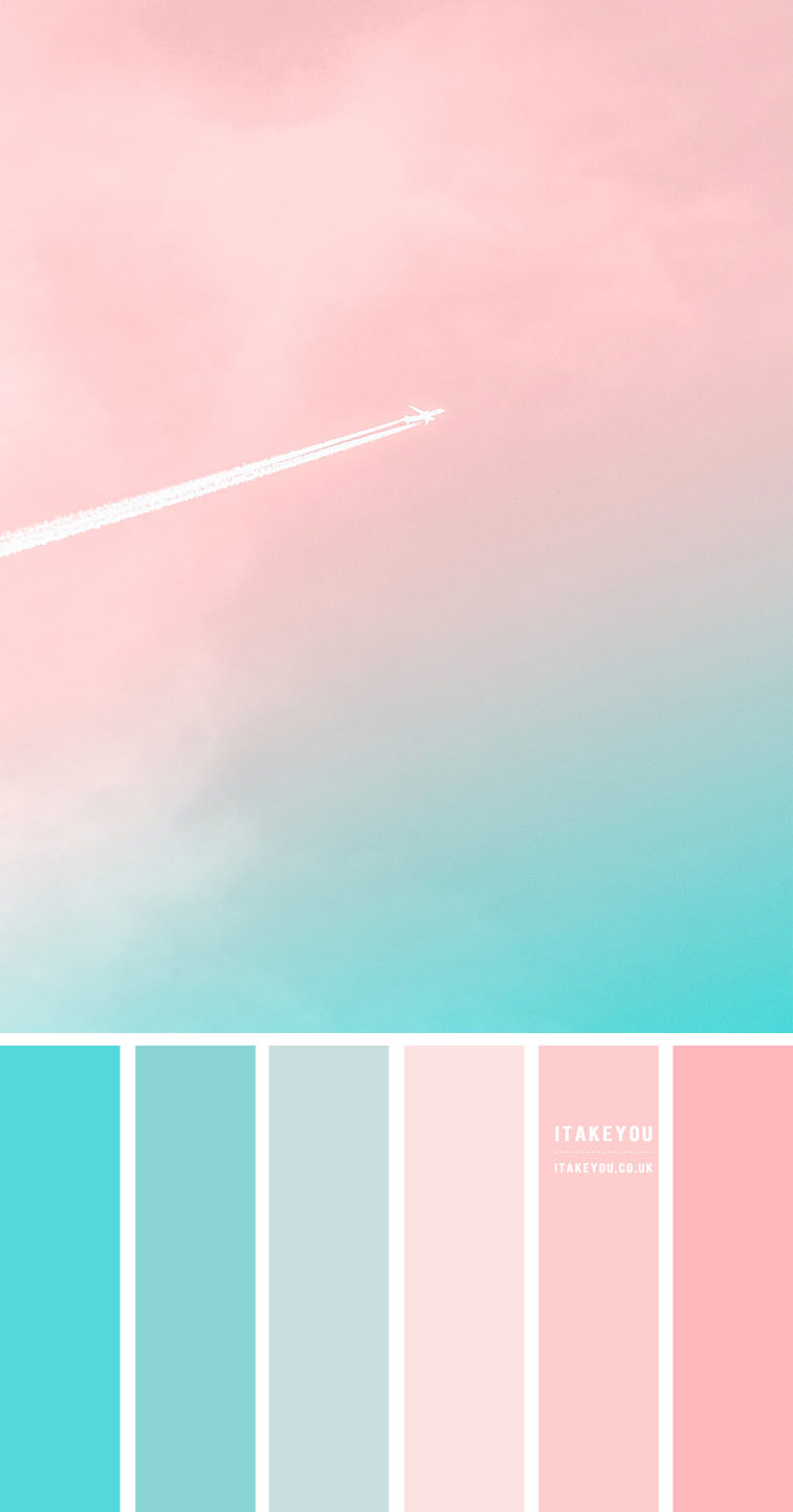 Cotton Candy Colour Scheme Colour Palette 71 I Take You Wedding