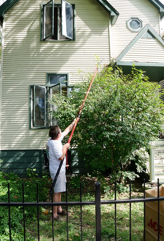 treepruninghedgetrimming10.jpg It All Started With Paint