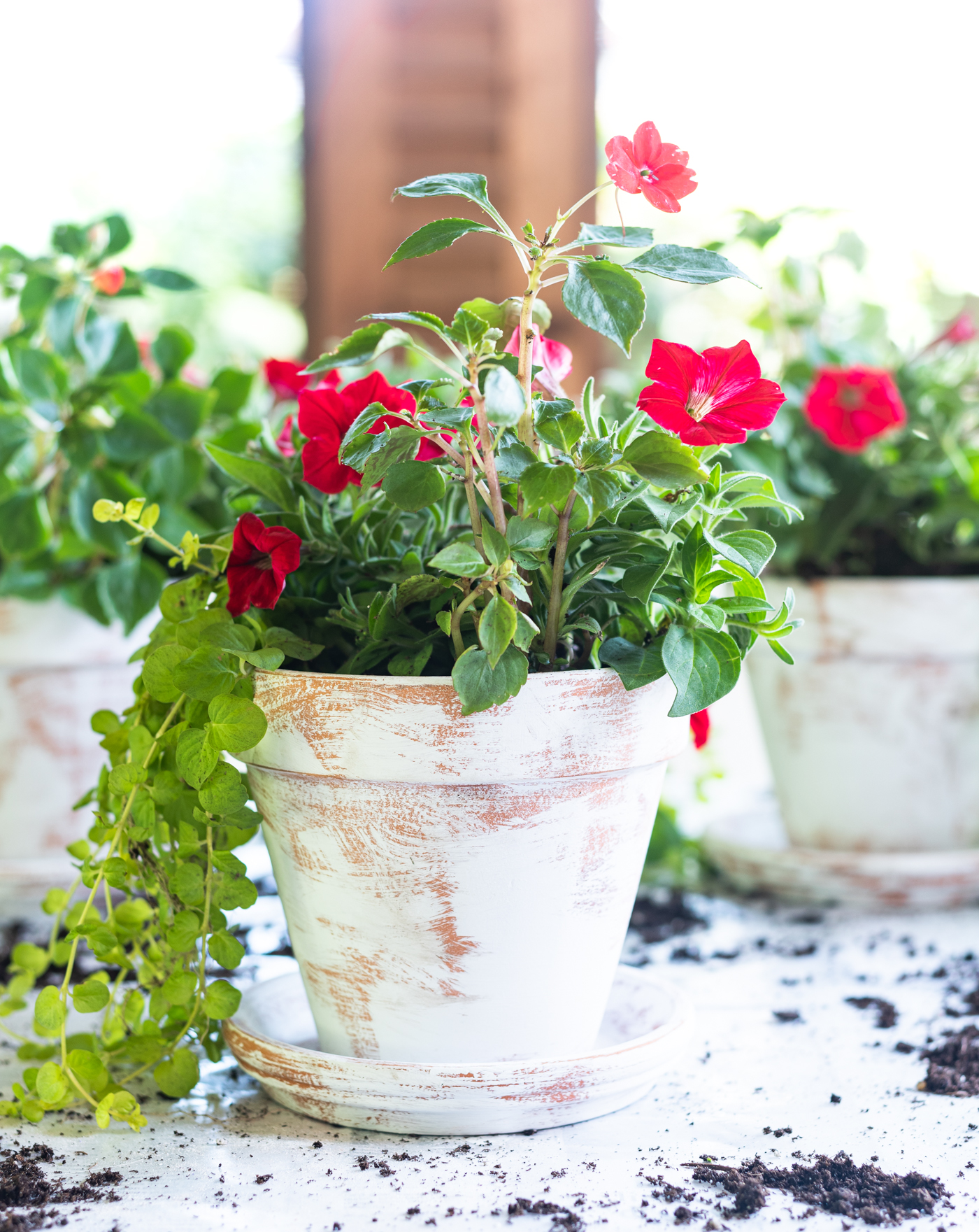 Easy Distressed Terracotta Pots It All Started With Paint