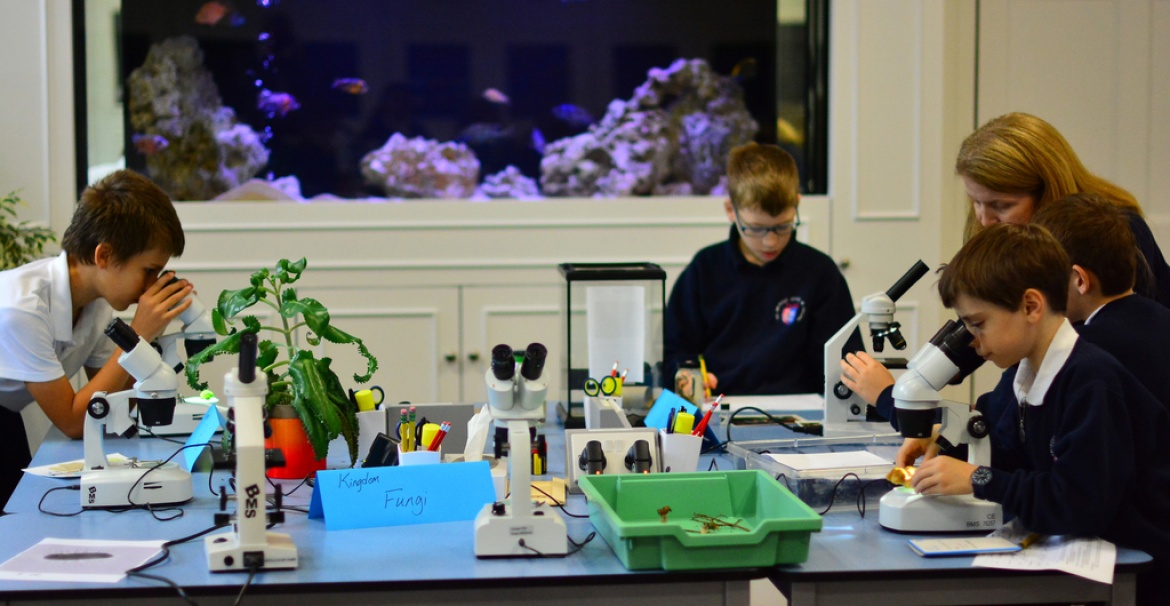 TASIS England Школа совместного обучения в Великобритании (Торп) ITEC обучение за рубежом