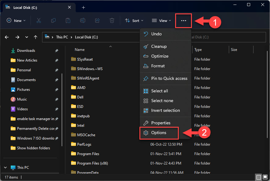 How To Show Hidden And Protected Files And Folders In Windows 11/10