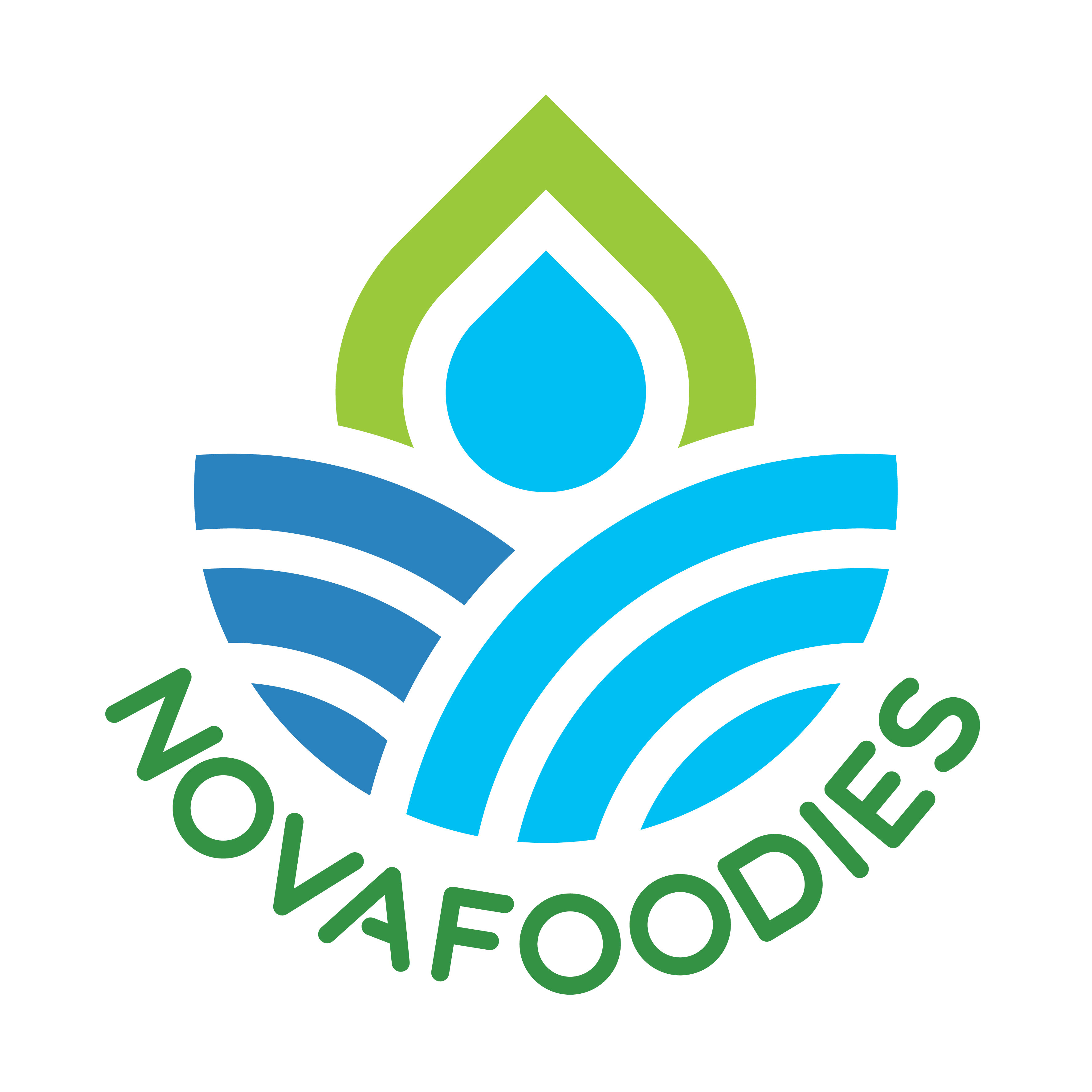 NOVAFOODIES Innovative functional food production systems