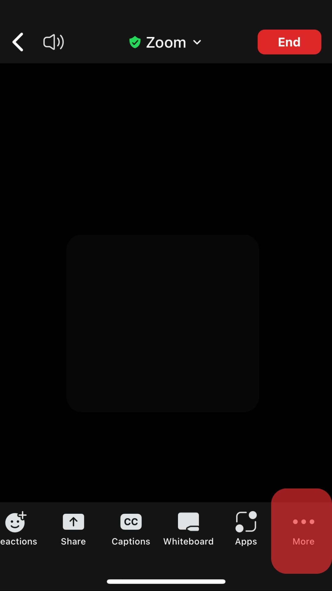 How To Freeze Zoom Video ITGeared