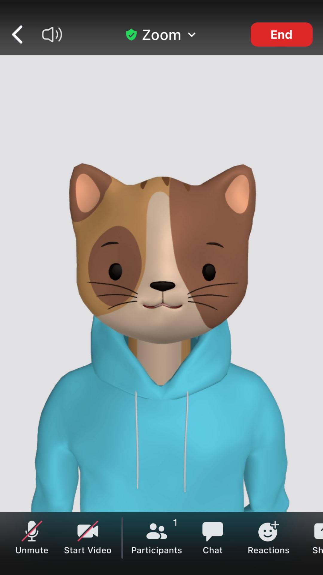 How To Freeze Zoom Video ITGeared