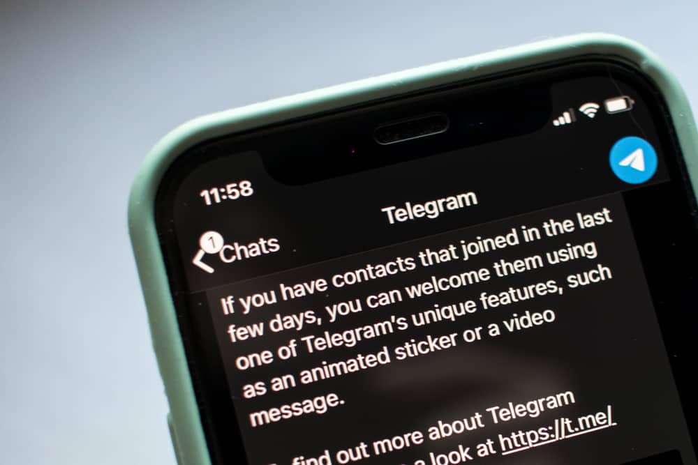 What Does The Green Dot Mean On Telegram finbold