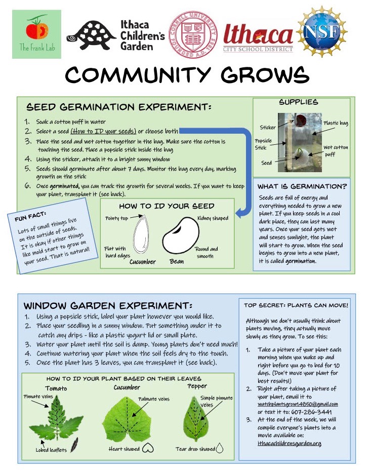 Community Grows Plant Science Experiments Ithaca Children's Garden