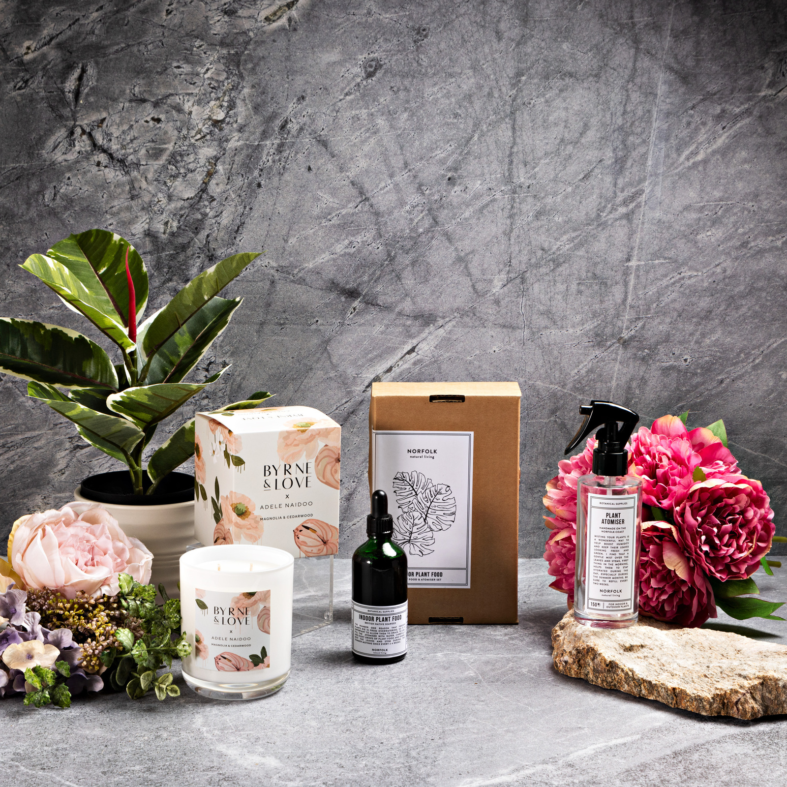 Indoor Plant Lover Gift Hamper