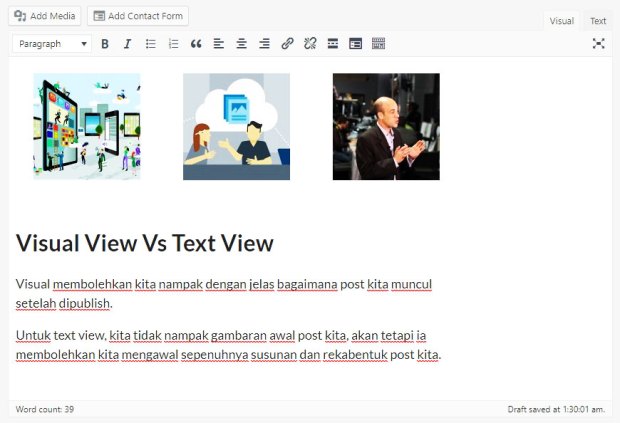 visual view dalam wordpress