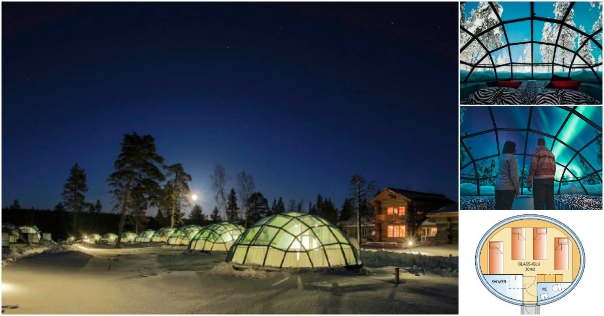 Imagine Sleeping in a Tiny Glass Igloo Under the Stars Tiny Houses