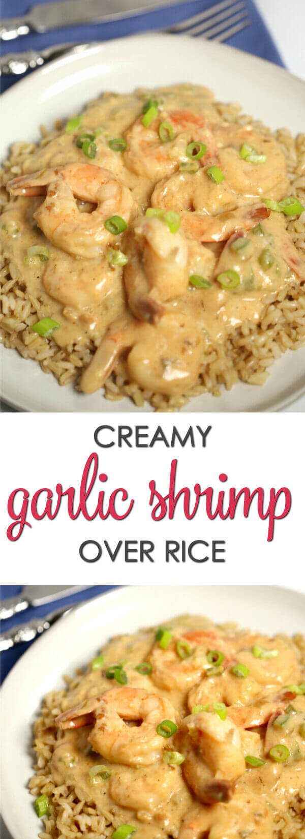 Creamy Garlic Butter Shrimp and Rice It Is a Keeper
