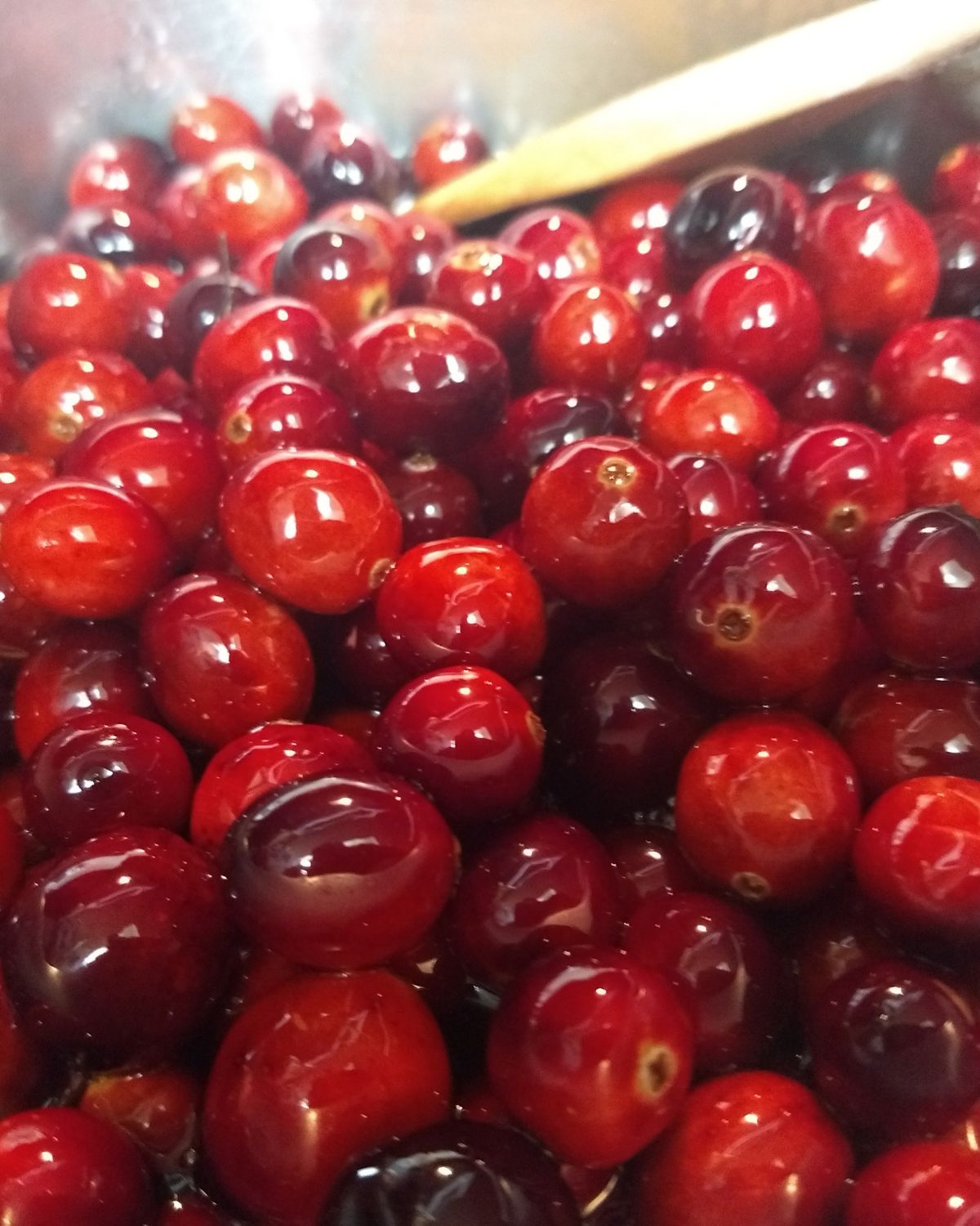 Amazing Cranberry Moonshine Recipe It Is a Keeper