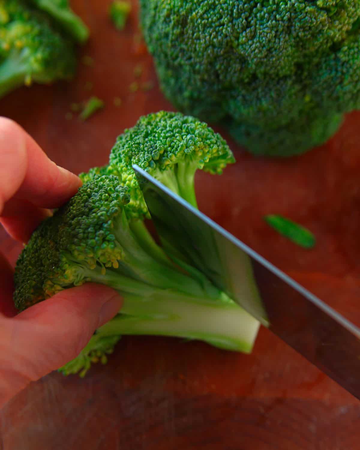 How to Cut Broccoli into Florets It Is a Keeper