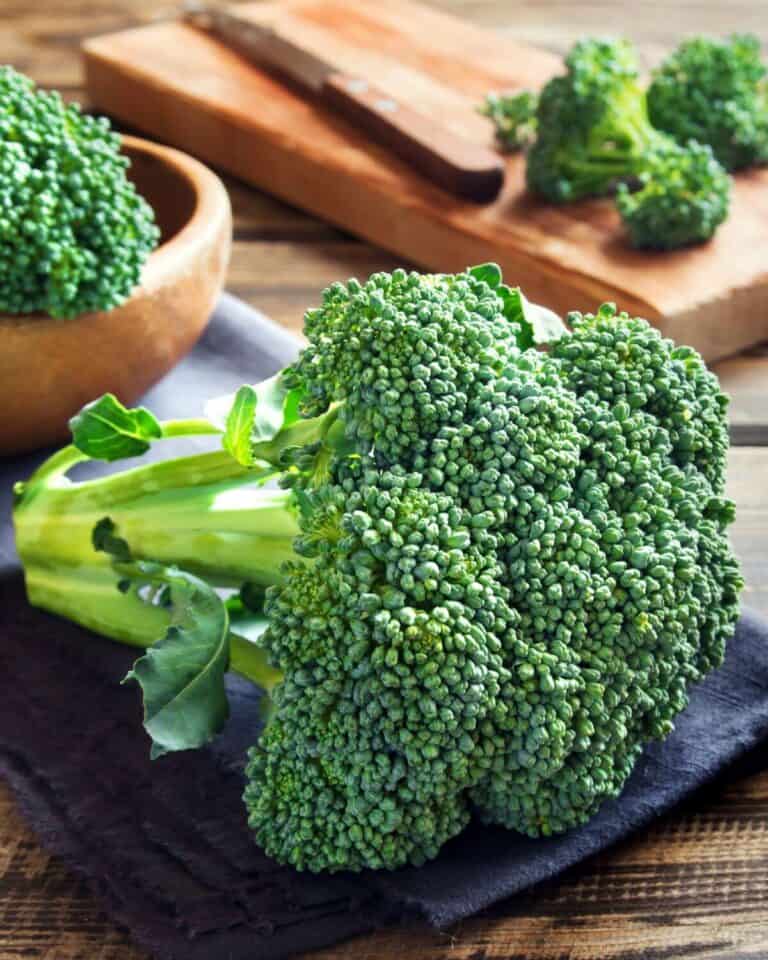 How to Cut Broccoli into Florets It Is a Keeper