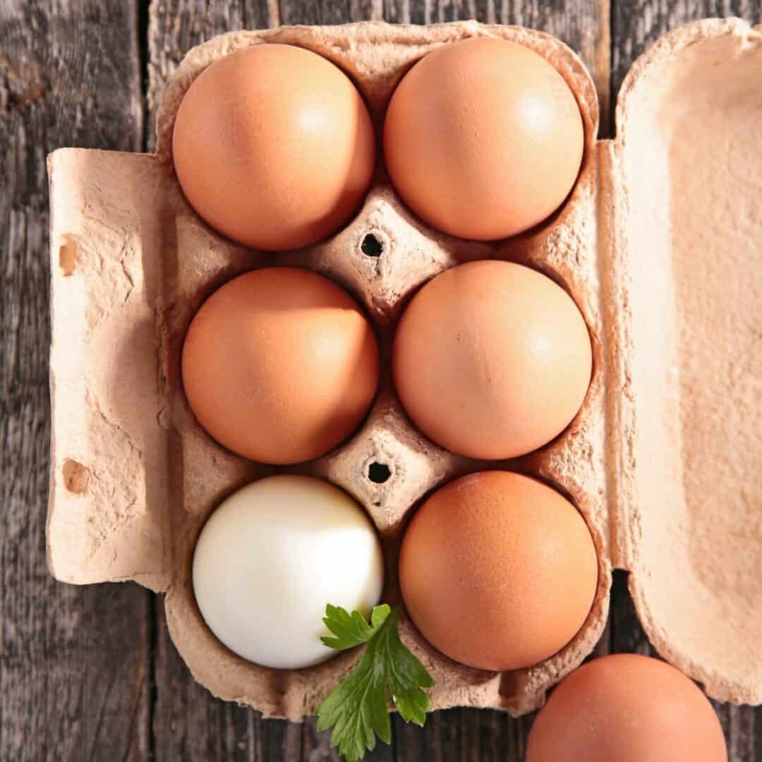 How to Store Fresh Eggs