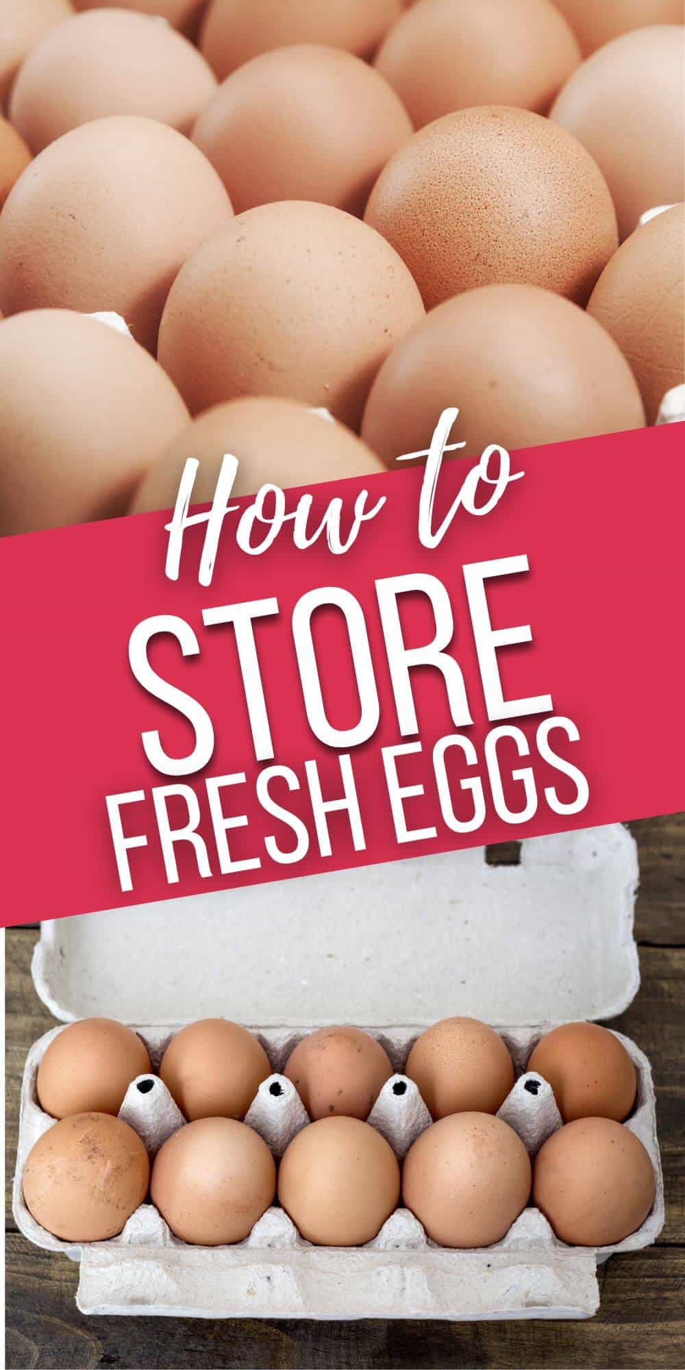 How to Store Fresh Eggs
