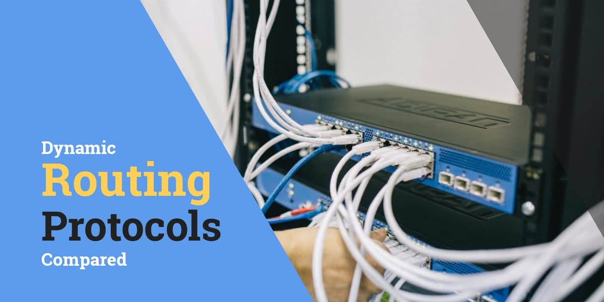 Dynamic Routing Protocols Compared The Essential Guide