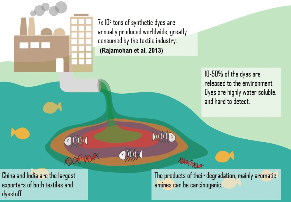 UCL iGEM 2014 — ITQB