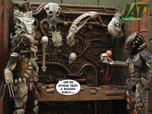 Skull stack : r/bonecollecting