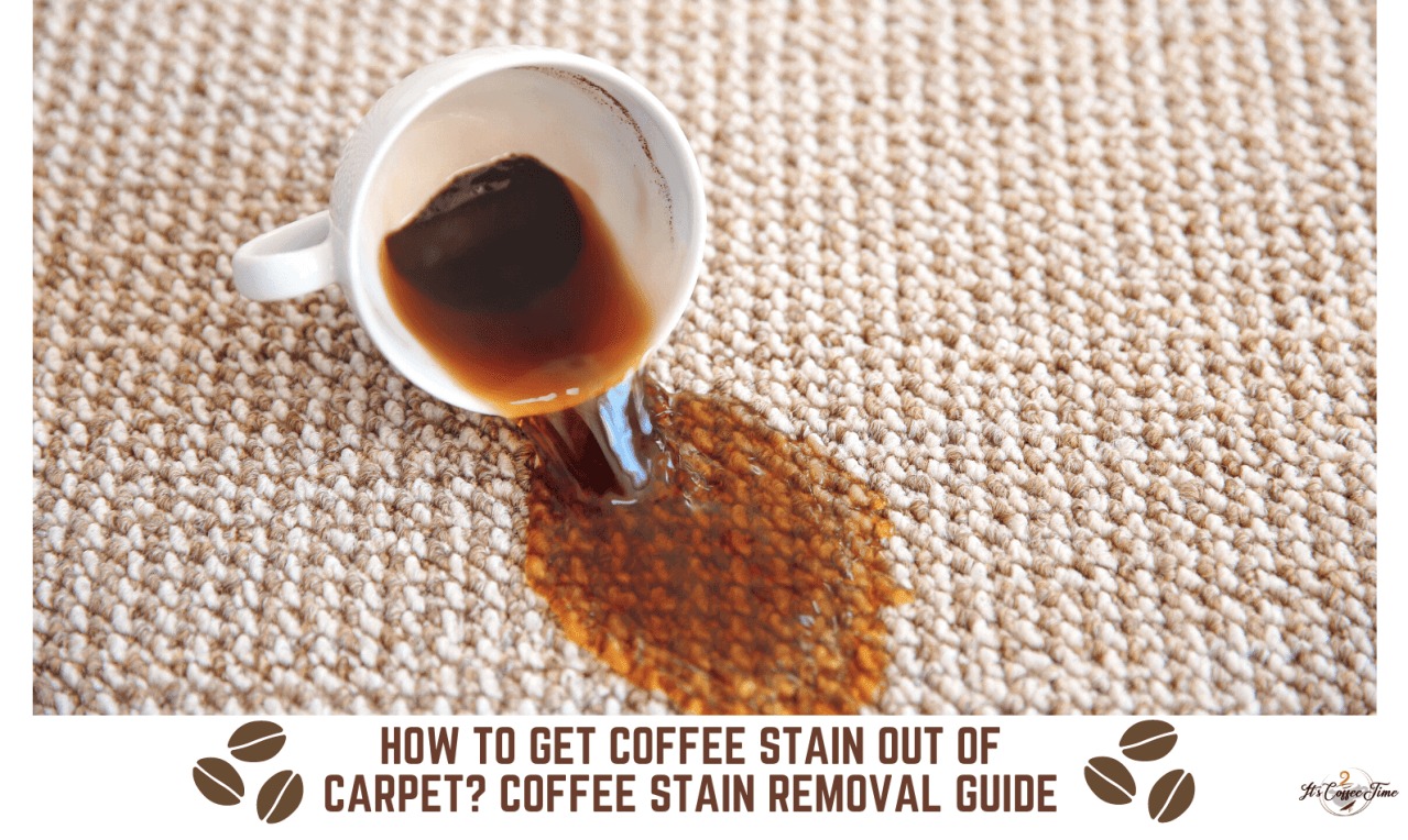 How to Get Coffee Stain Out of Carpet? Stain Removing Guide