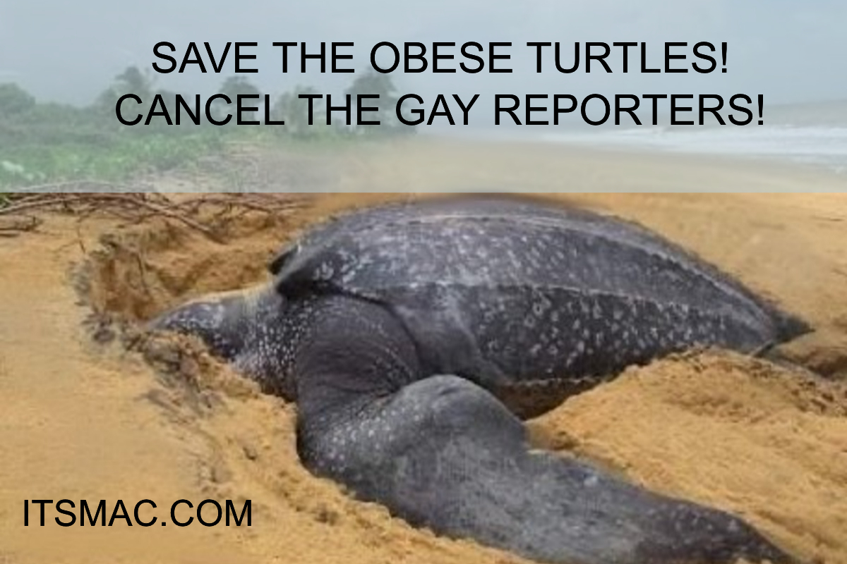 OBESE FLAILING TURTLE VS AGING QUEER FAGOT! It's Mac