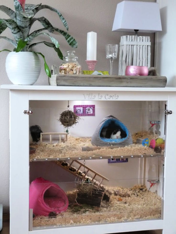 How To Make A Guinea Pig Cage At Home at Sharon Drake blog
