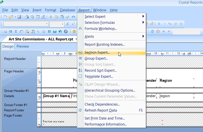 Crystal Reports Filter duplicates by field IT Support Guides