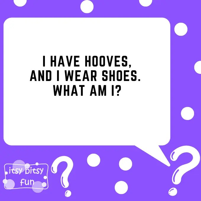 Horse Riddles for Kids Itsy Bitsy Fun