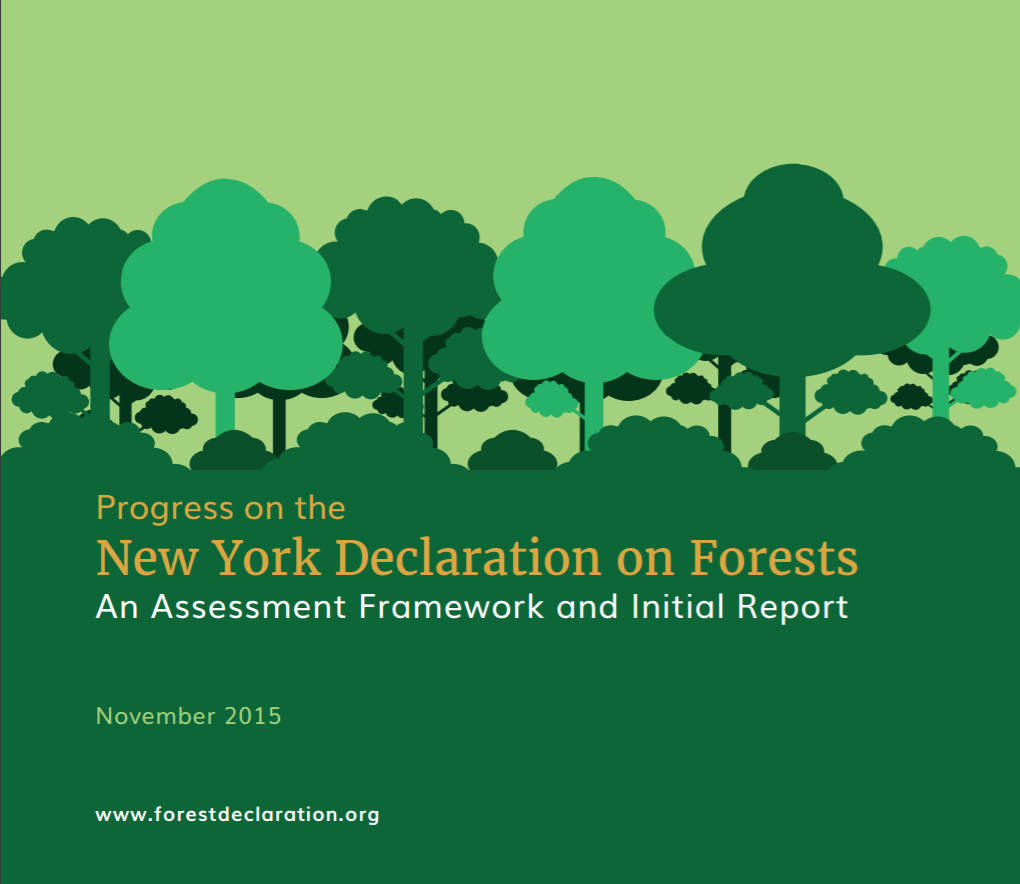 New York Declaration on Forests progress report highlights close