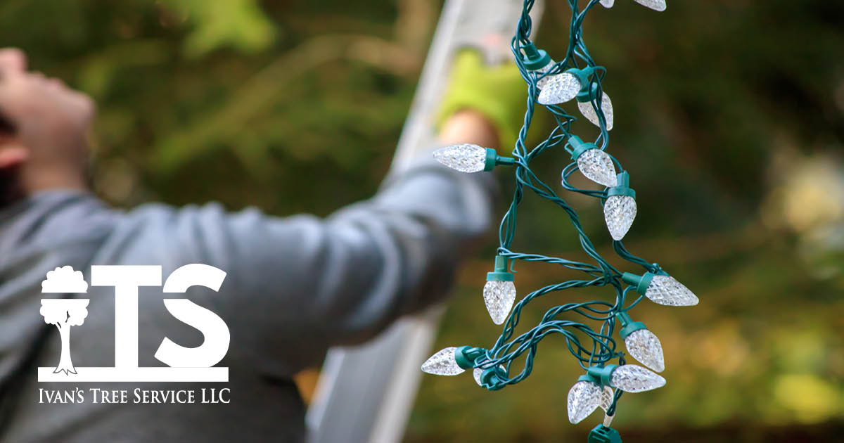 Christmas Decoration Removal Holiday Light Etiquette • Ivan's Tree Service