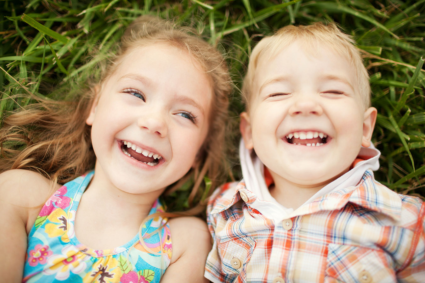 Egg Donation Process The Definitive Guide for IVF Egg Donor