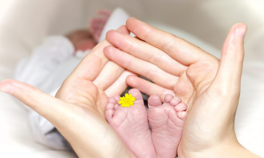 International Surrogacy Process Free Consultation for Surrogacy Seekers