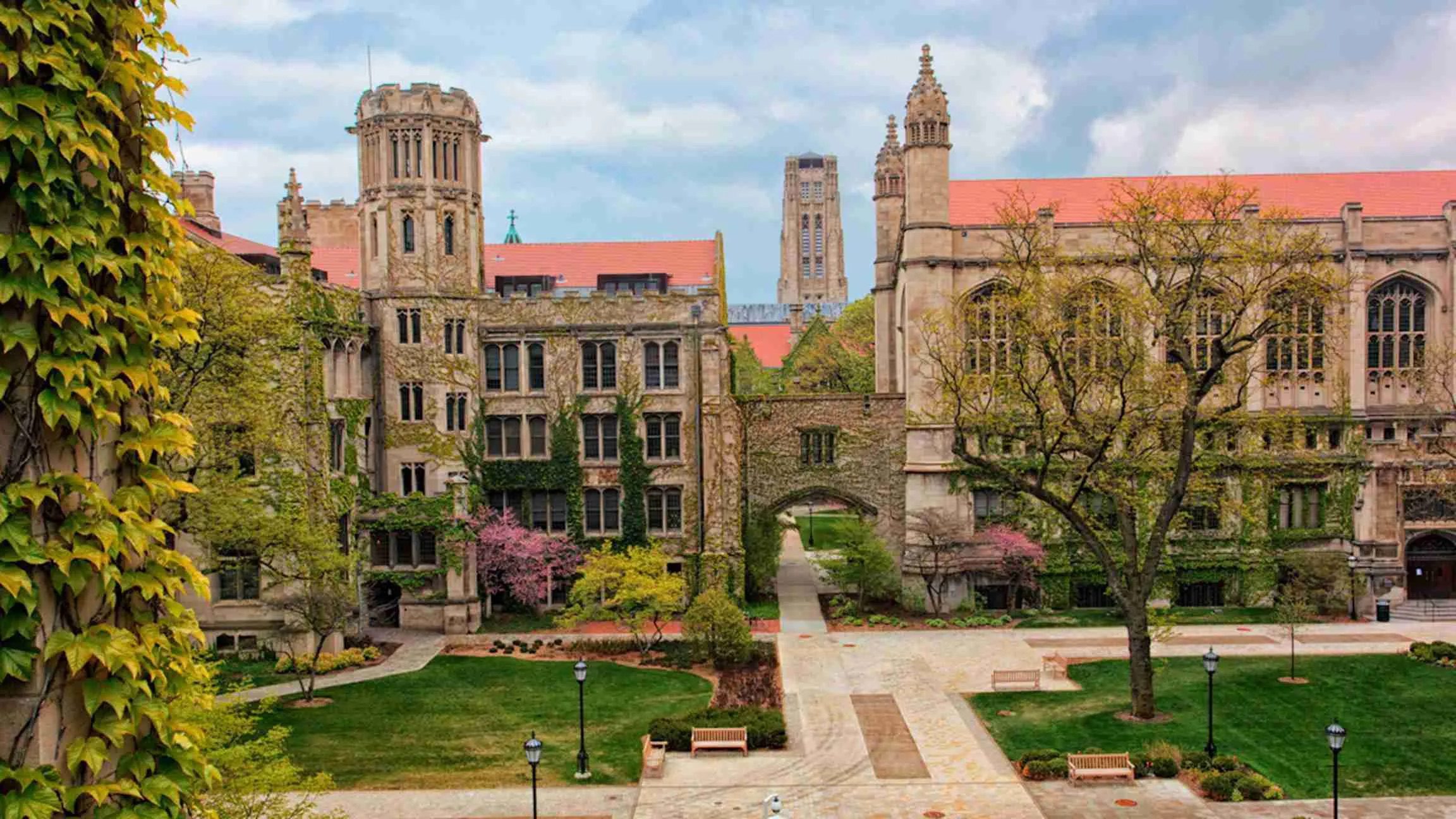 How to Get into UChicago IvyWise