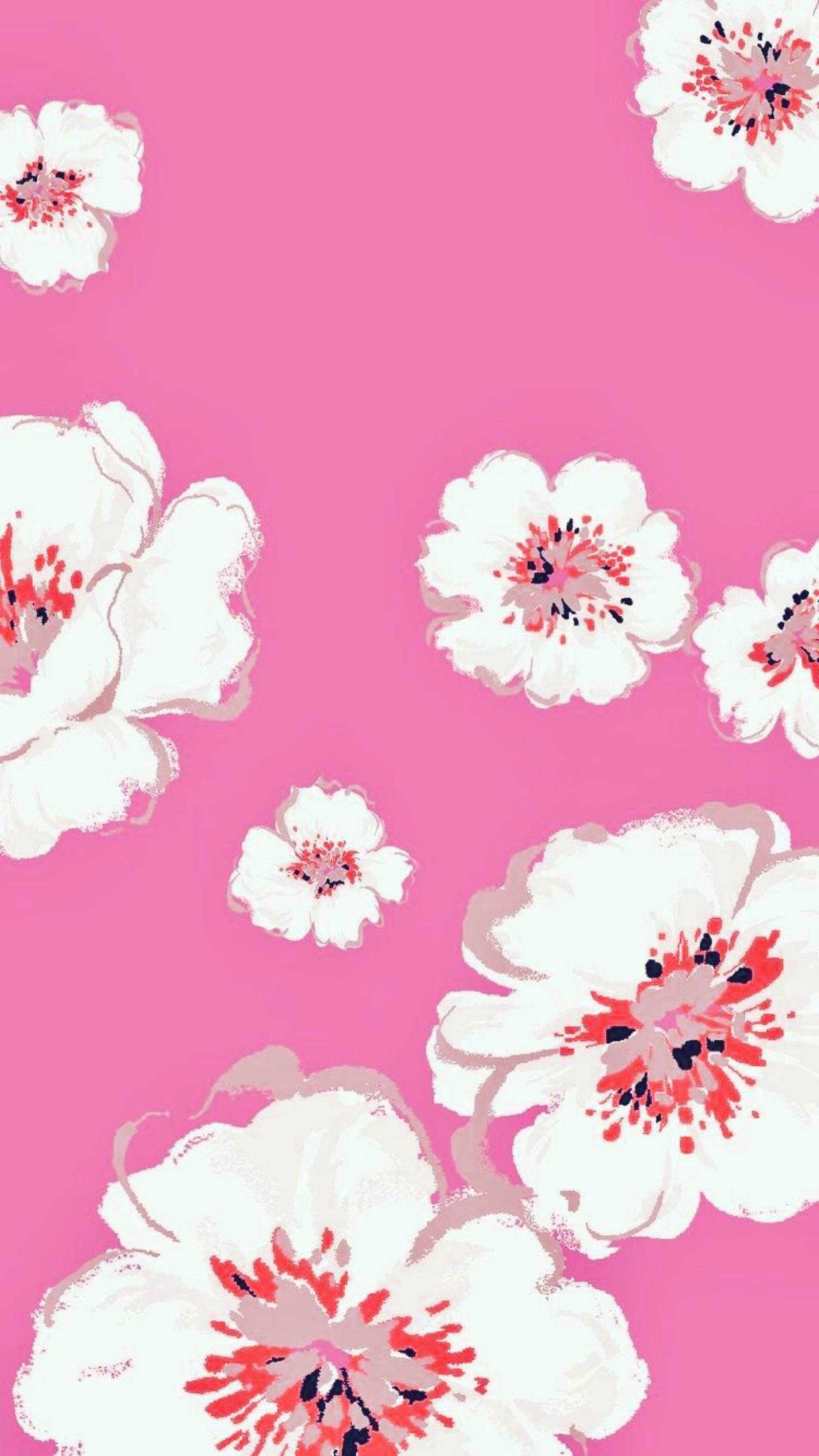 Pink Floral Wallpaper iXpap