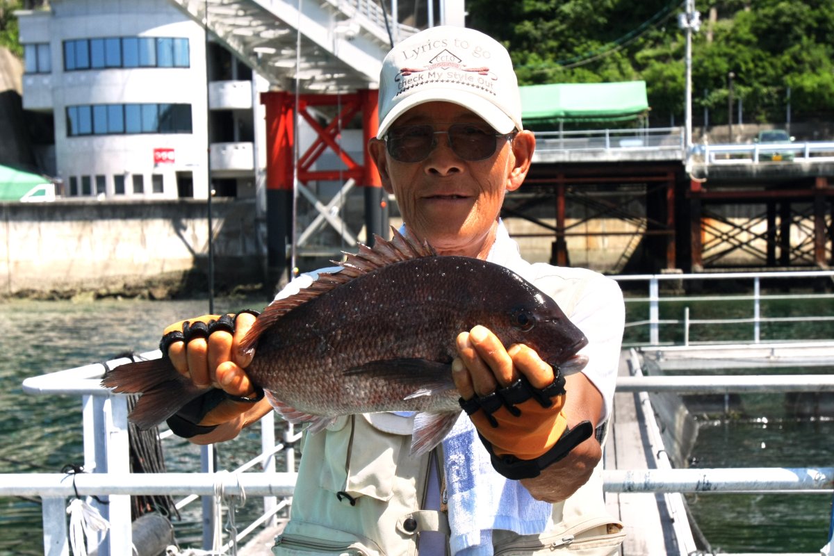 おさかな牧場「シーロード八幡浜」｜愛媛のスポット・体験｜愛媛県の公式観光サイト【いよ観ネット】