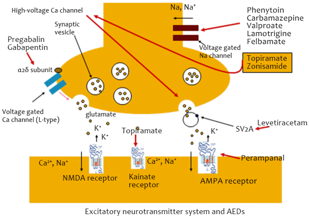 Old versus New Why Do We Need New Antiepileptic Drugs?