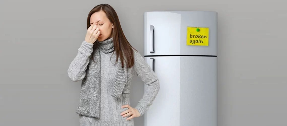 Top Refrigerator Warranties to Secure Your Appliance