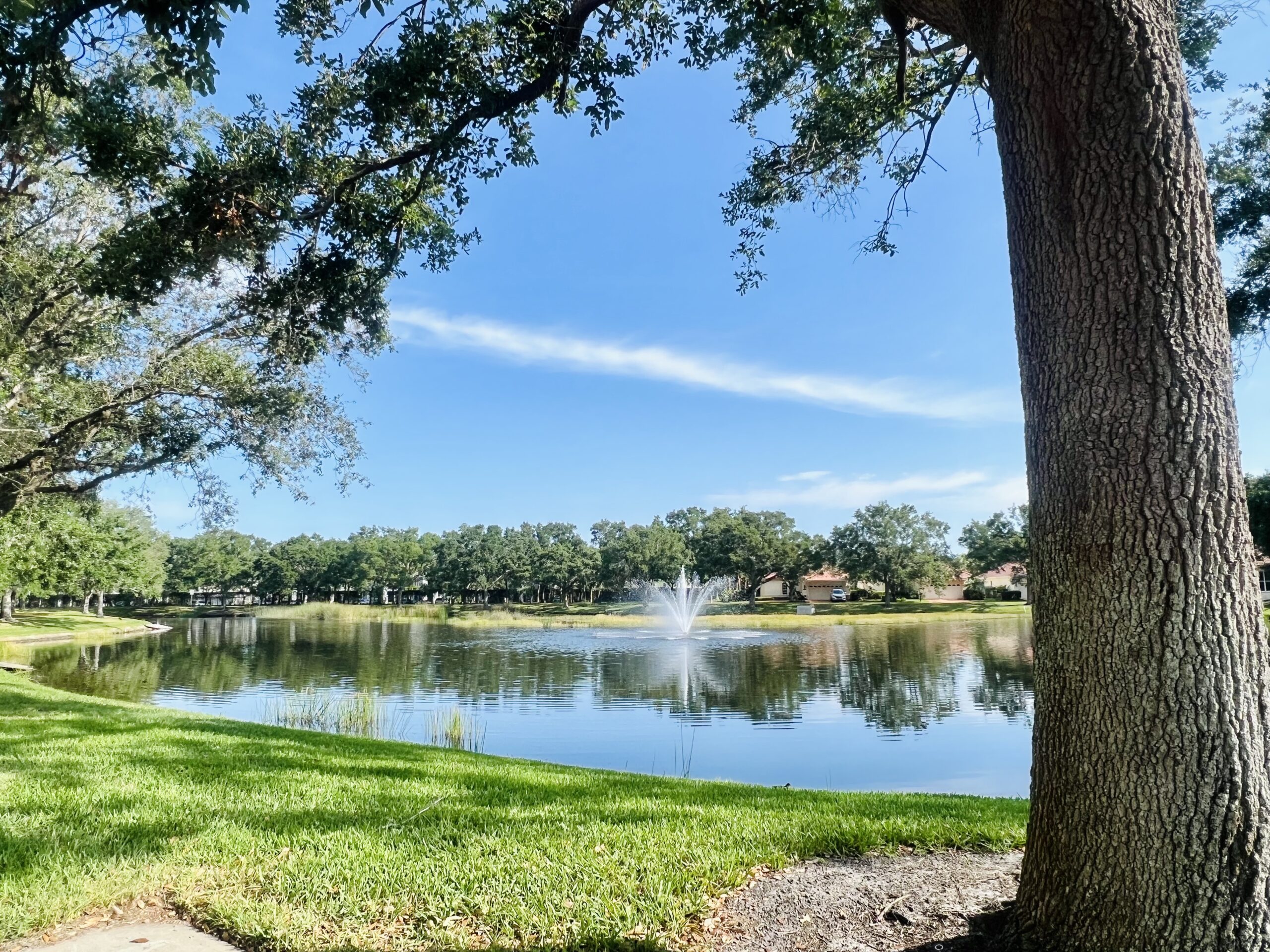 Photos of Around the Jacaranda Trace Campus in Venice, Fl.